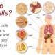Celule stem tratamente