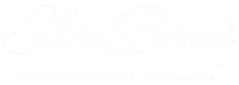 brinzoi logo2