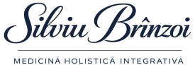 cropped brinzoi logo.png